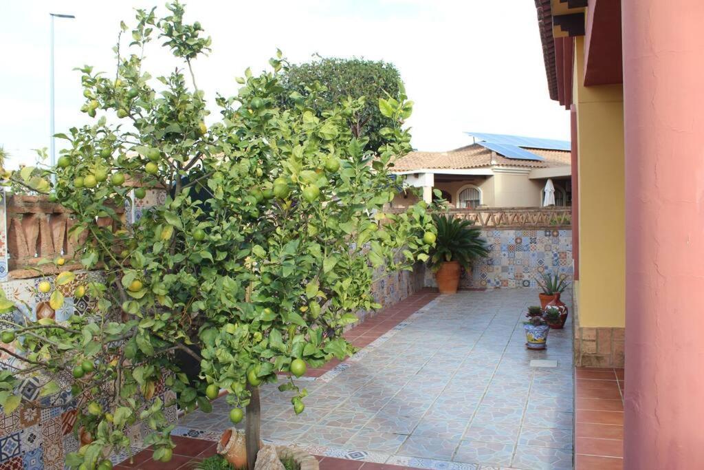 Casa 4 Dormitorios En Ayamonte Esterno foto